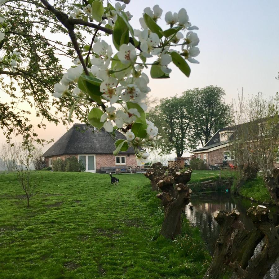 Groeten Uit Hoogmade - Rural Cottage Exterior photo
